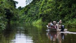 Las sequías podrían convertir la Amazonía en una llanura