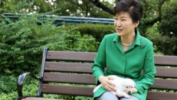Corea del Sur: Park abandonó 9 perros en palacio presidencial
