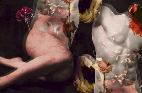 El misterio del sexo, por Gonzalo Portocarrero