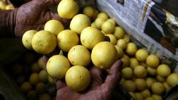 Limón, insumo clave de gastronomía peruana, escasea en Lima