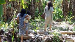 Indígenas bolivianos tienen las arterias más saludables