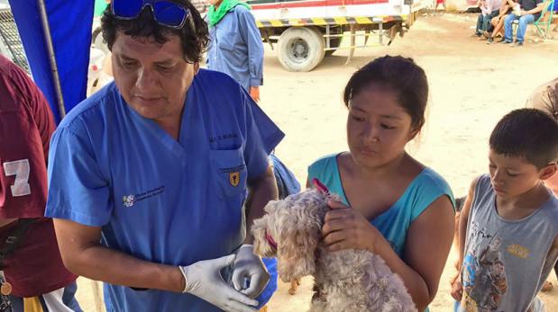 WUF, veterinarios y empresas asisten a animales afectados