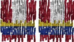 La OEA, Venezuela y el Perú, por Óscar Vidarte