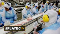 Ministro brasileño visita planta de pollo entre crisis de carne
