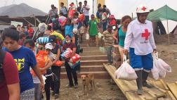 Tu mascota y tú ante una emergencia