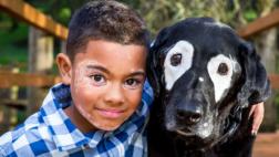 Niño sale de su depresión gracias a este perro