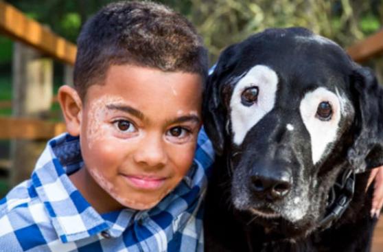 Niño sale de su depresión gracias a este perro