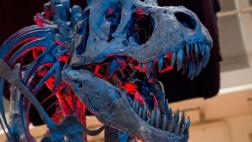 Surge nueva hipótesis sobre la evolución de los dinosaurios