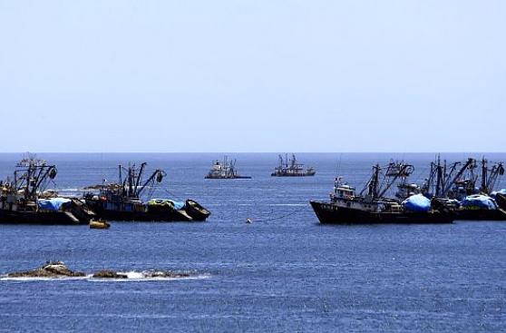Pesqueras no esperan gran impacto de El Niño en la anchoveta