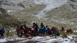 Puno: más de 65.000 hectáreas de cultivos afectadas por clima