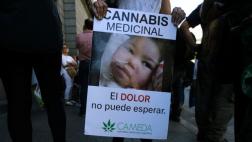 Argentina aprueba el uso medicinal de la marihuana