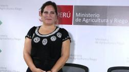 Editorial: Holgando bajo la lluvia