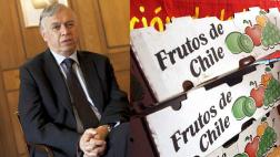 Chile mira al Asia como región clave para sus exportaciones