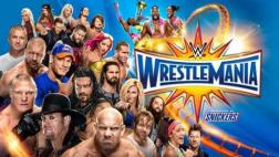 WWE WrestleMania 33: Roman Reigns venció a The Undertaker