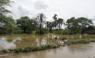 Senamhi: habrá lluvias entre el domingo y martes en el norte