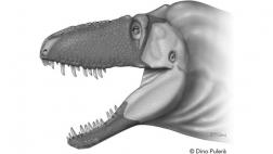Así era la cara de un tiranosaurio