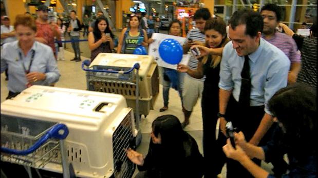 Venezolanos se reúnen con 3 de sus 5 perros en Lima