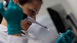 Alteran el sistema inmune para combatir la esclerosis múltiple