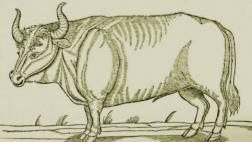 Cuando los nazis intentaron “resucitar” animales extintos