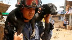 Colombia: El albergue de animales de la devastada Mocoa
