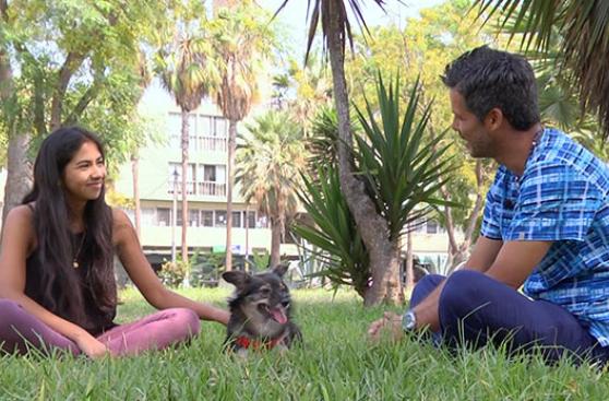 WUF y Latina unidos por el bienestar de los perros