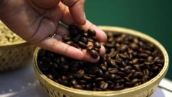 Todo lo que tienes que saber antes de tomar una taza de café