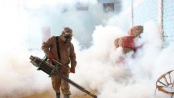 Piura: casos confirmados de dengue suben a 707
