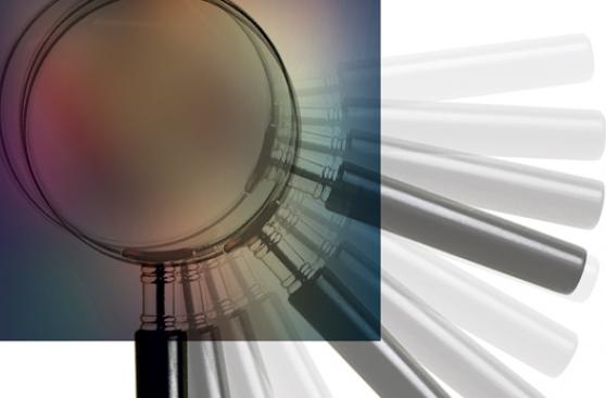 ¿Transparencia para saber o para qué?, por Enrique Bernales