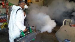 Áncash: 4.210 viviendas fueron fumigadas en Coishco por dengue