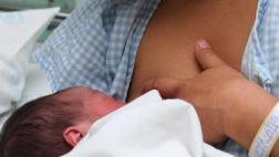 Alteran molécula de la leche materna para que combata el cáncer