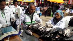 Huancayo: decomisan 25 kilos de carne de pescado descompuesta