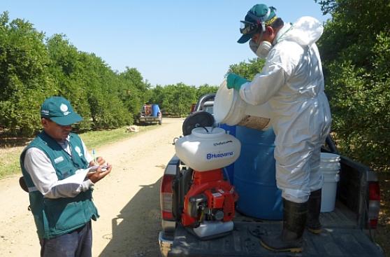 Senasa monitorea plagas ante El Niño costero