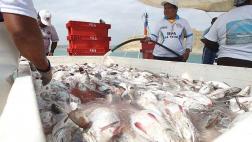 Exportaciones pesqueras crecieron más de 90% en primer bimestre