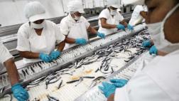 Produce: Manufactura primaria creció 9,5% en febrero