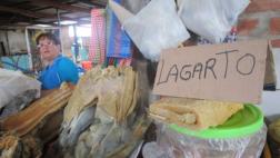 Aumenta consumo de lagarto por Semana Santa en Tarapoto