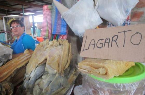 Aumenta consumo de lagarto por Semana Santa en Tarapoto
