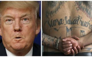 Trump dice que "eliminará rápidamente" a la Mara Salvatrucha