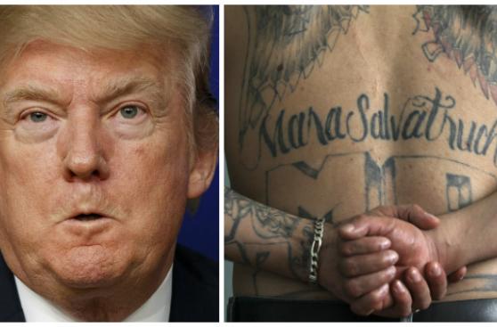 Trump dice que "eliminará rápidamente" a la Mara Salvatrucha