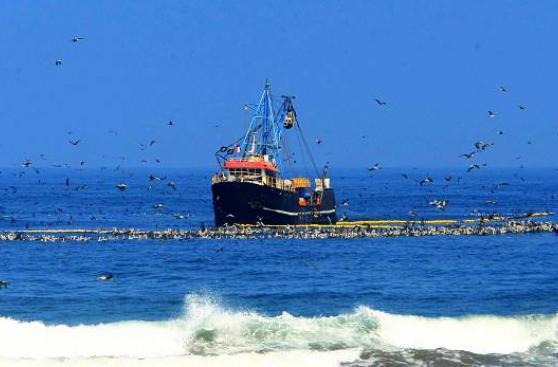 Exportaciones no tradicionales acumulan 5 meses de crecimiento