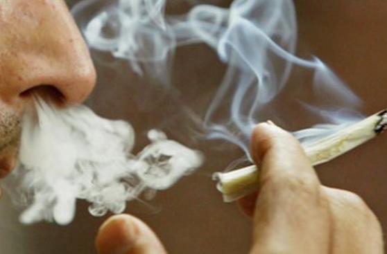 Devida: unos 70 mil se inician en consumo de marihuana al año