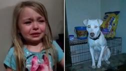 Niña consigue hallar a su mascota perdida gracias a Facebook