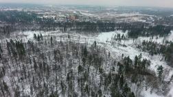 Rusia: bosques de Moscú peligran por la presión inmobiliaria
