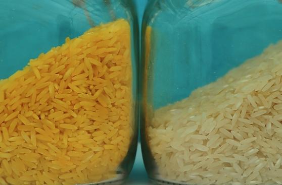 ¿Hay diferencias entre transgénicos y productos convencionales?