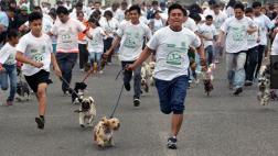 Perrotón busca difundir tenencia responsable en Ventanilla