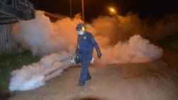 Cajamarca: a 115 se elevan los casos confirmados de dengue