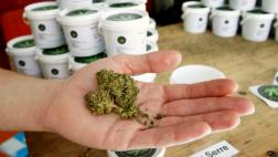 México aprueba el uso medicinal de la marihuana