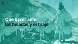 Recomendaciones del COEN para afrontar las heladas y el friaje