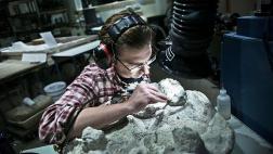 Expertos extraen ADN prehistórico sin la necesidad de fósiles