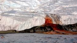 Resuelven el misterio de las Cascadas de Sangre de la Antártida