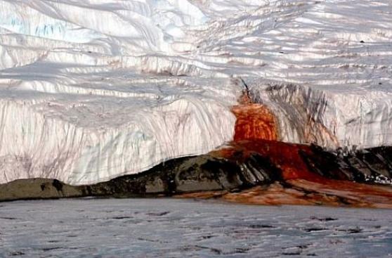 Resuelven el misterio de las Cascadas de Sangre de la Antártida